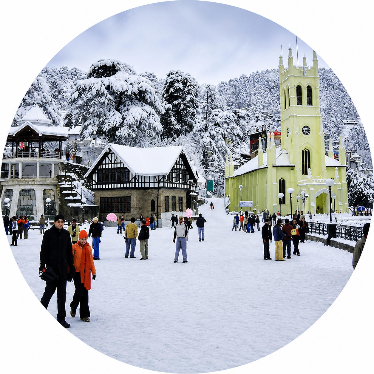 Himachal Pradesh — Deodar Forests & Cold Deserts