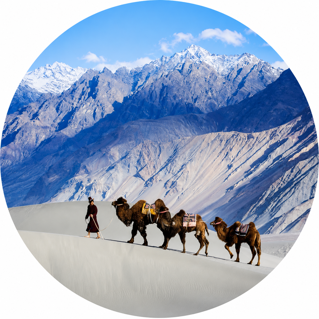 Ladakh — High Desert, Higher Passes