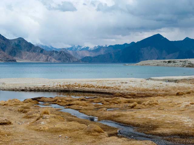 Winter Leh Ladakh
